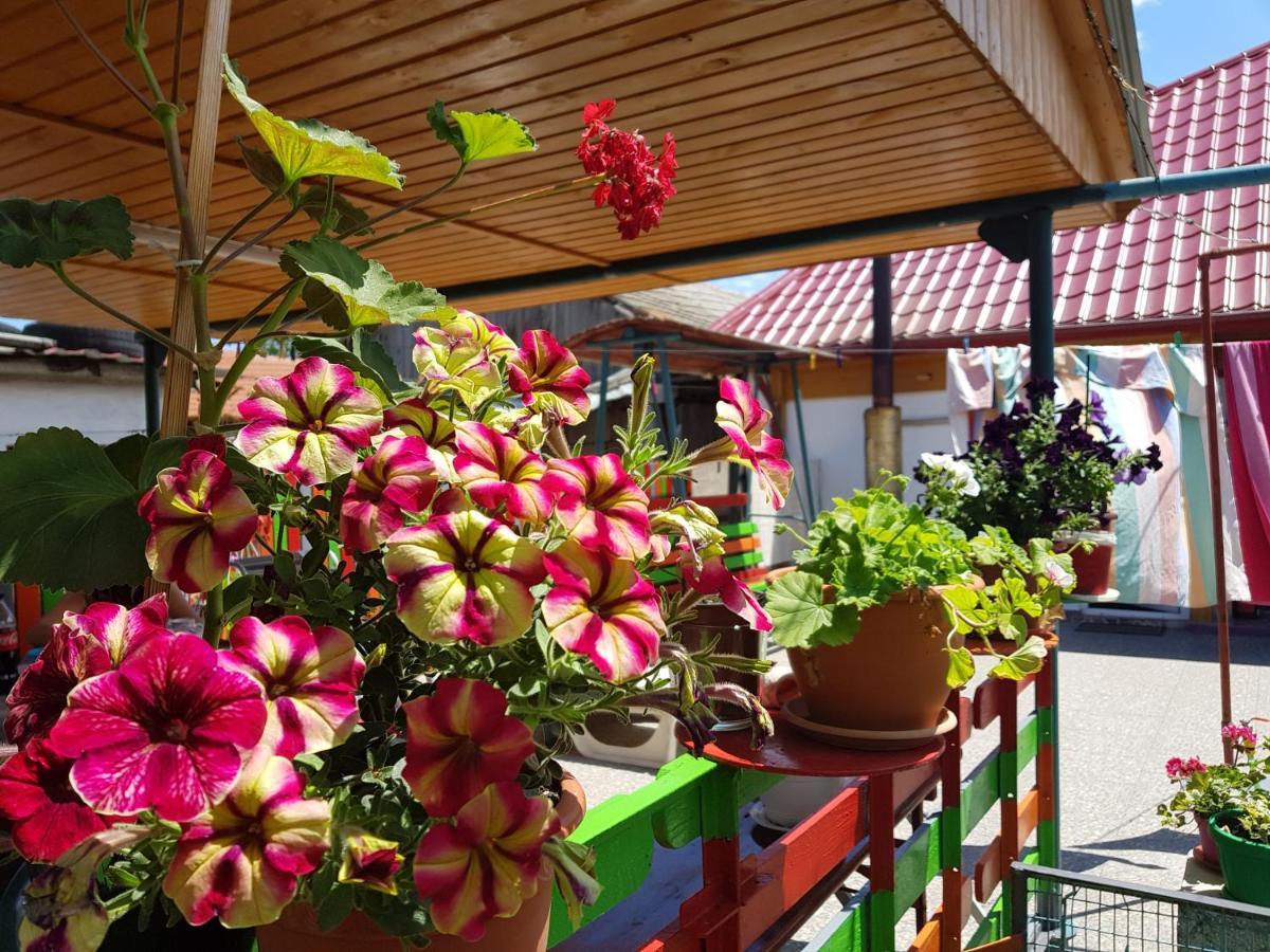Hotel Casa Simona à Două Mai Extérieur photo